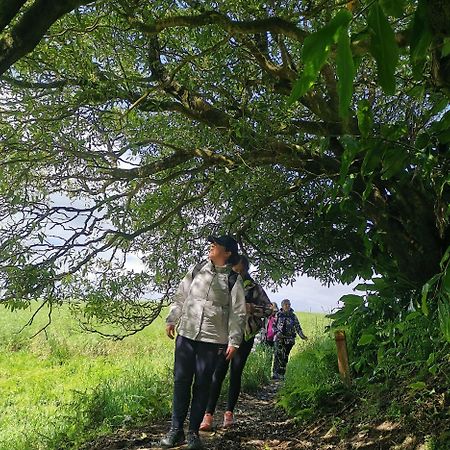 Vila Nikau - Garden By The Sea اجوا المظهر الخارجي الصورة