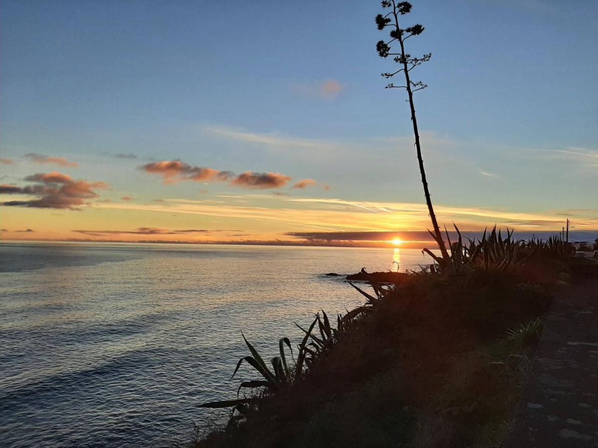 Vila Nikau - Garden By The Sea اجوا المظهر الخارجي الصورة