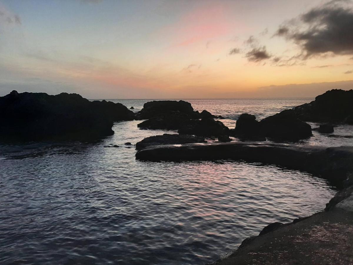 Vila Nikau - Garden By The Sea اجوا المظهر الخارجي الصورة
